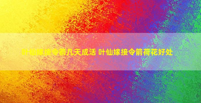 叶仙嫁接令箭几天成活 叶仙嫁接令箭荷花好处